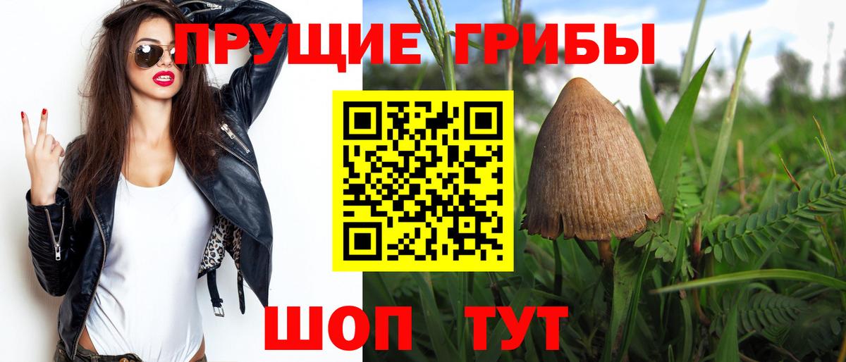 Псилоцибиновые грибы MAGIC MUSHROOMS  Вход с VPN  Ялта 