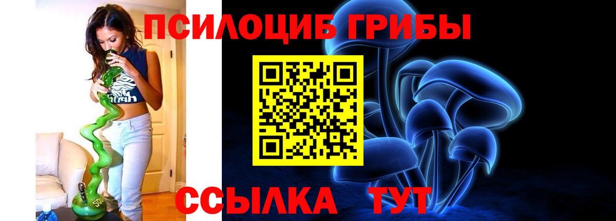 Псилоцибиновые грибы Cubensis Ялта
